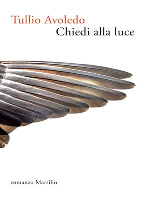 cover image of Chiedi alla luce